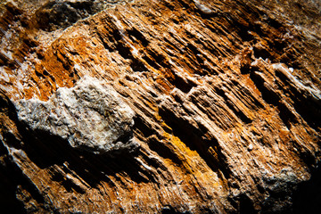 abstract detail on orange rock