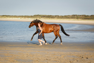 Pferd und Frau am Strand