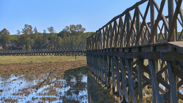Photograph of the marshes of Bellavista, Huelva, Spain
