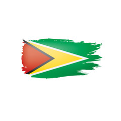 Guyana flag, vector illustration on a white background.
