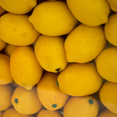 Lemons - 223609582
