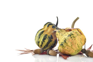 Decorative Colorful Mini Pumpkins