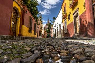 CALLE SAN MIGUEL DE ALLENDE