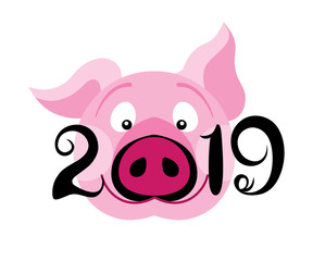 Creative postcard for New 2019 Year with cute pig.