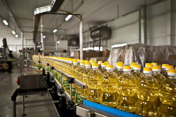 Sunflower oil in the bottle moving on production line. Shallow dof.