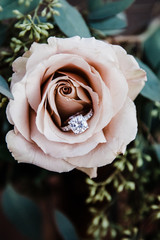 diamond ring in rose