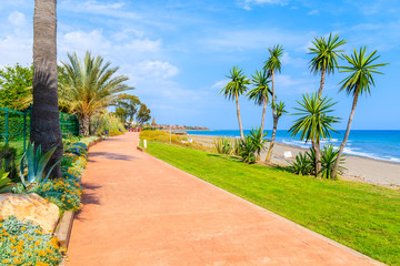 Fototapeta premium Coastal path with palm trees along beach near Estepona town on Costa del Sol, Spain