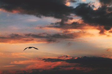 sunset in the sky