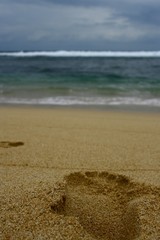 beach and sea