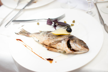 Grilled dorado fish on the white plate with tomatoes and slices of lemon with balsamic sauce, on a white table.