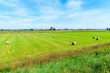 Naklejka premium Green field with hay bales near Cracow city on sunny summer day, Poland