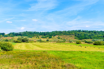 Fototapeta na wymiar Green fields near Vistula river on sunny summer day, Poland