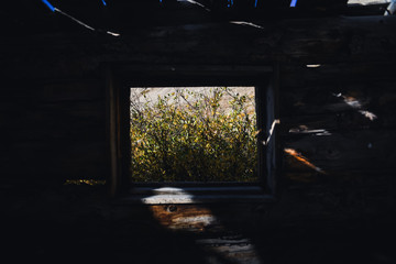 Fototapeta na wymiar Fall foliage through an abandoned cabin window. 