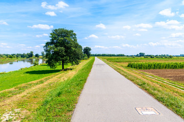 Cycling path along green fields and Vistula river near Cracow city on sunny summer day, Poland