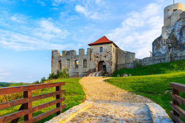 Fototapety na wymiar - Fototapeta24.pl