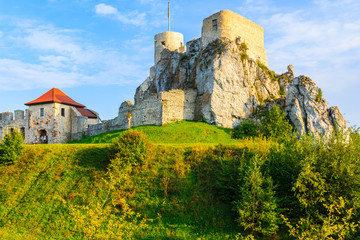 Fototapety na wymiar - Fototapeta24.pl