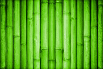 Crédence de cuisine en verre imprimé Bambou fond de bambou vert