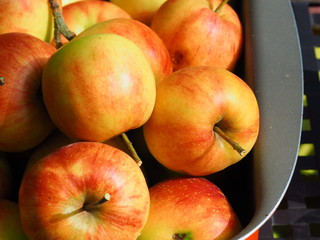 apple