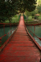 Fototapeta premium wooden bridge in forest