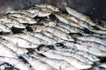 Barbacue fish. Closeup view on traditional spanish dish. Typical in Costa del Sol, Malaga, Spain.