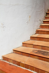 Lovely juxtaposition of curved white wall and terracotta tiles steps