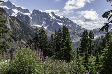 Fototapeta na wymiar Beautiful view in Mount Baker National Park