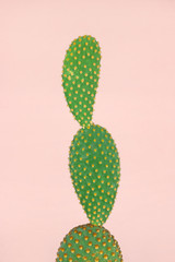 Green cactus with yellow polka dot pattern on pastel pink background