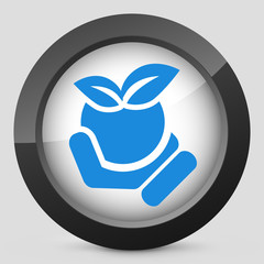 Tomato icon