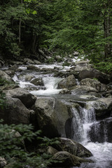 Flowing stream in the Great Smoky Mountains National Park