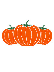 clipart cool viele 3 kürbis halloween frucht tomate obst rund lecker essen hunger comic cartoon design