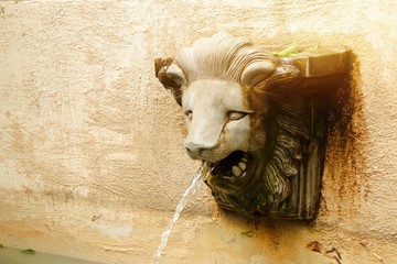 Lion statue spitting water