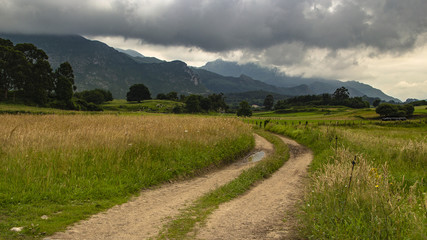 Camino rural rodeado de verdes campos y rodeado de grandes montañas 