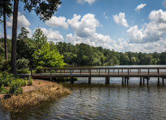 Naklejka premium bridge over the river