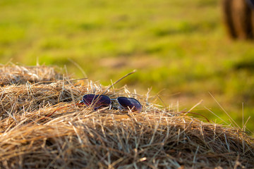 Summer vacation symbol sunglasses on hay stack