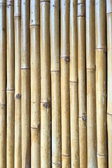 Bamboo wall as the background texture 