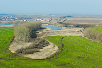 Fototapeta na wymiar Field of green wheat and the fertility of the earth ecology. Aerial view. The concept of fertility