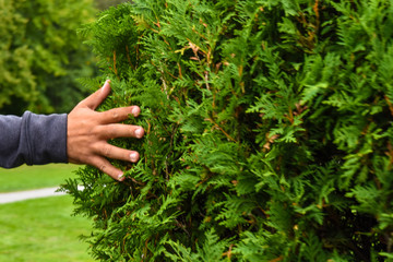Hand moving and touching a brush