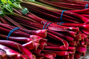 Farmer's Market Rhubarb