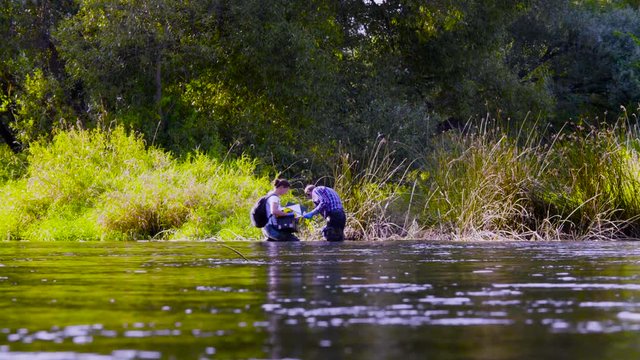 Two scientists ecologists in high rubber boots standing in the water of the forest river. Man is getting samples of the water plants, woman is holding toolbox. Field work