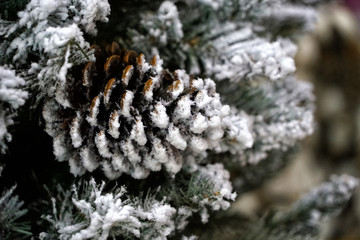 Christmas tree with blurred background