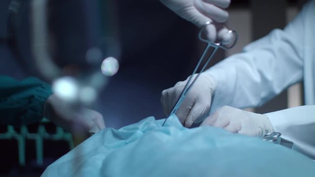 Surgery operation hands in operating room. Close up of medical team perform operation with surgeon scissors. Surgical operation process. Medical operation. Gloved hand hold surgical tools