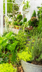 Relaxing area in cozy home garden on summer./ Beauty and relaxing garden with flower pot decoration in cozy home flower garden on summer.