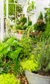 Relaxing area in cozy home garden on summer./ Beauty and relaxing garden with flower pot decoration in cozy home flower garden on summer.