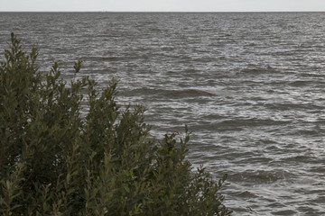 The IJsselmeer dark and windy