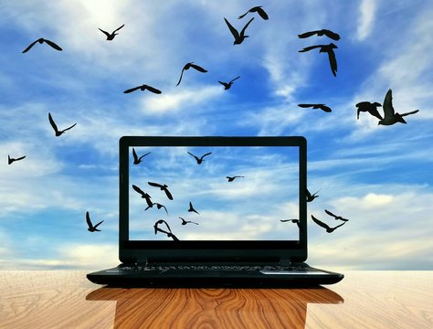  Black laptop on wooden glossy table with silhouette flock of birds  are flying in monitor and blur sky background in look at the world wide through laptop screen,technology concept