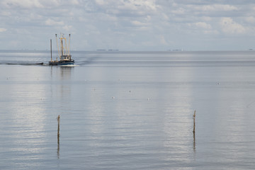 Fishing boat is emptying the nets, placed along the Aflsluitdijk in a calm peacfull IJsslemeer