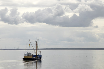 Fototapeta premium Fishing boat is emptying the nets, placed along the Aflsluitdijk in a calm peacfull IJsslemeer