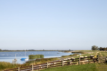 view over the outer harbor