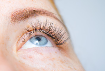 Eyelash Care Treatment Procedures, Staining, Curling, Laminating and Extension for Lashes. Beauty...
