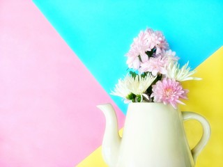 Soft image of pink and white chrysanthemum flowers are blooming in white ceramic teapot with pastel multicolored background on flowers decoration concept